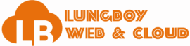 LungBoy Web & Cloud Service